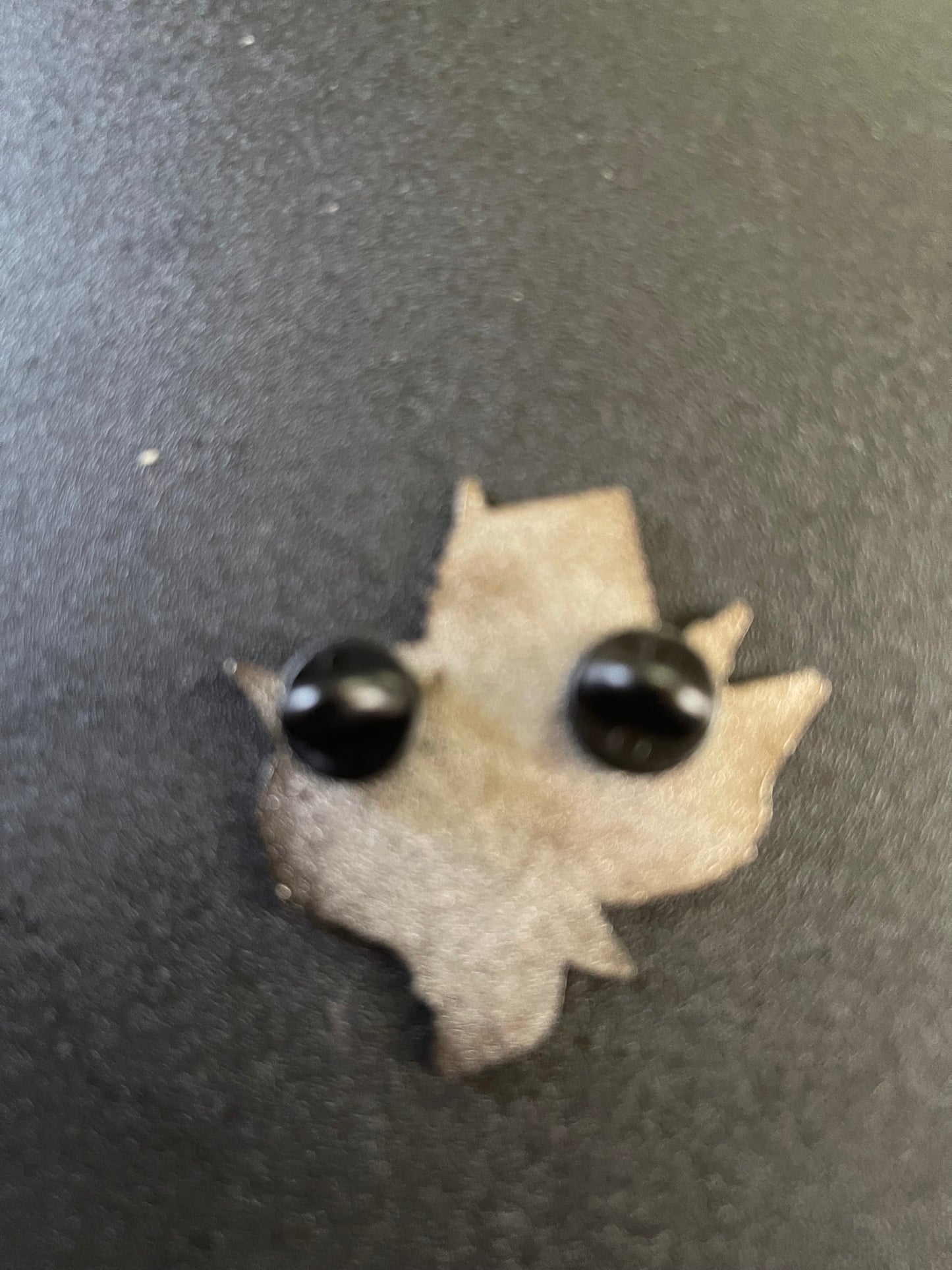 TEXAS HAT PIN