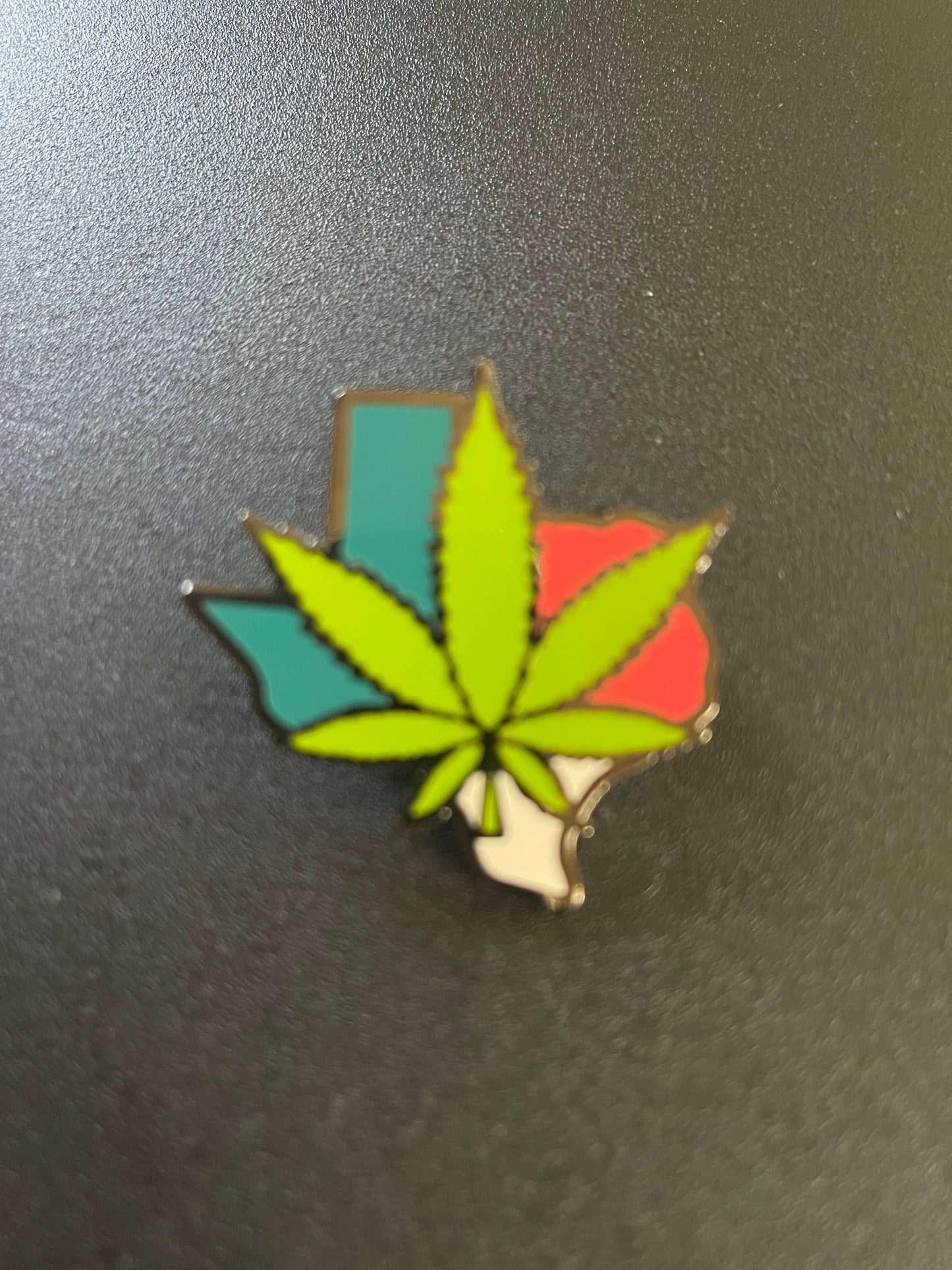 TEXAS HAT PIN
